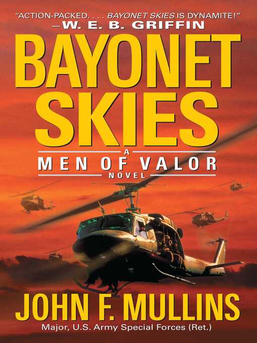 Cover image for Bayonet Skies